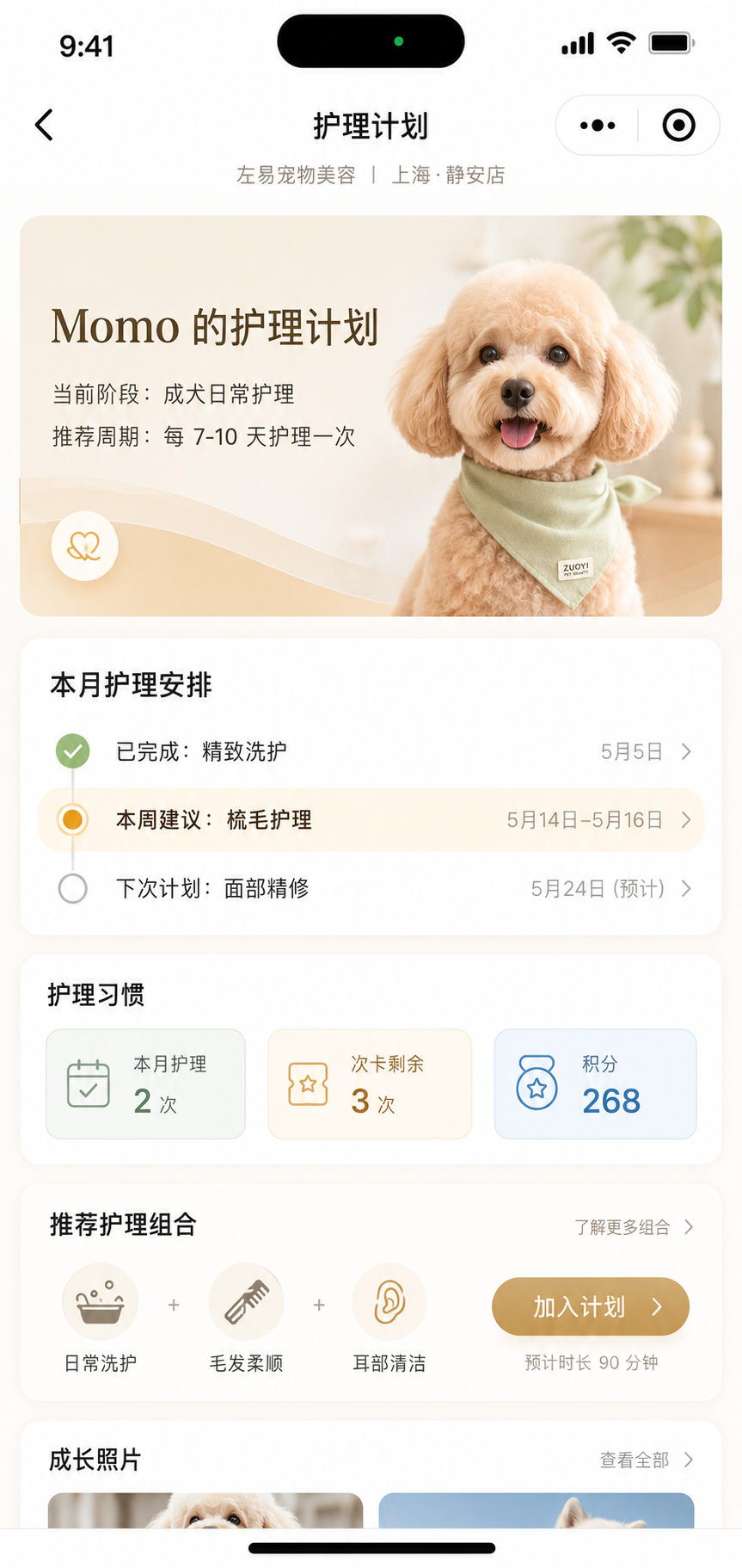 护理计划